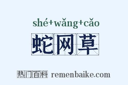 蛇网草是什么意思的图片